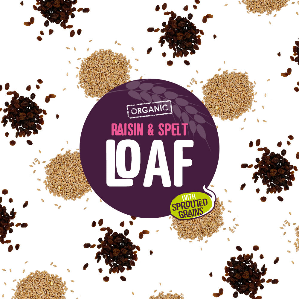 Organic Sprouted Spelt Loaf with Raisins