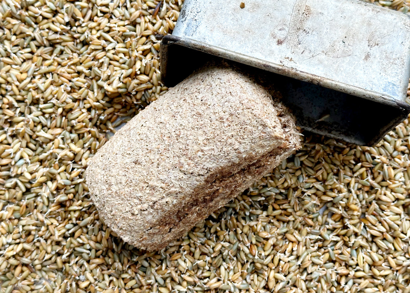 100 Sprouted Grain Loaves, Breads & Cakes Everfresh Everfresh