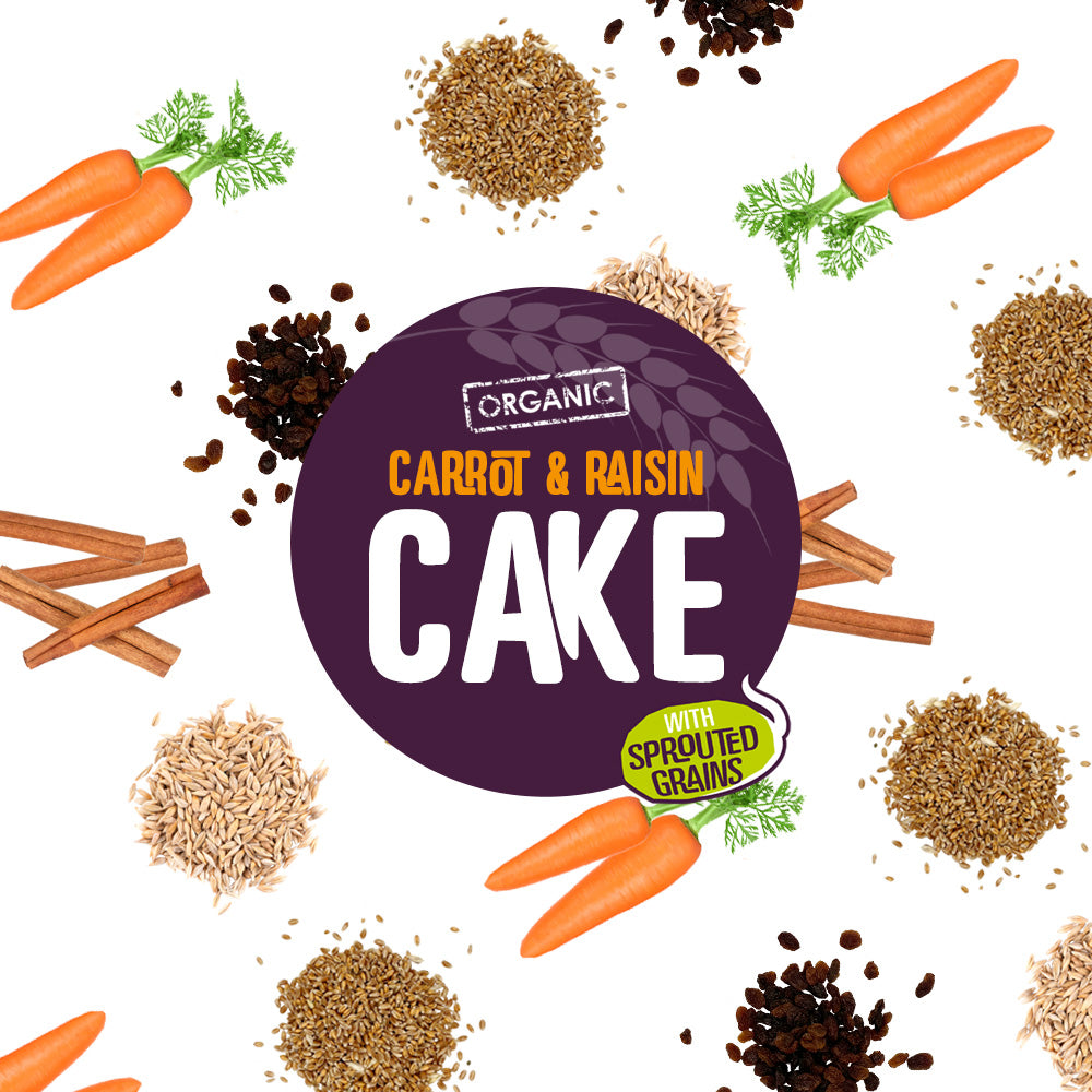 Organic Carrot &amp; Raisin Cake