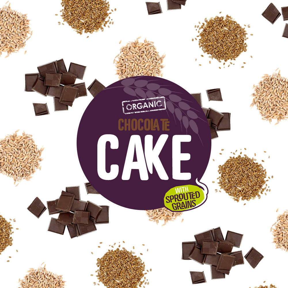 Organic Chocolate Cake